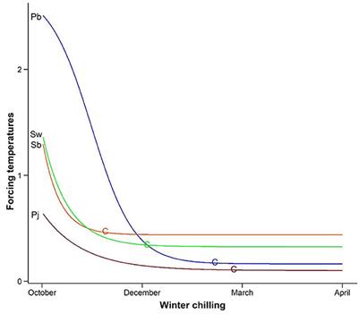 Spring phenology, phenological response, and growing season length